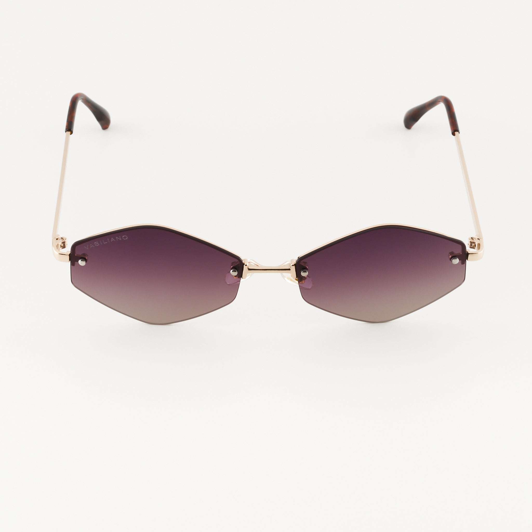 Εκπτώσεις Siena L Polarized γυαλιά ηλίου